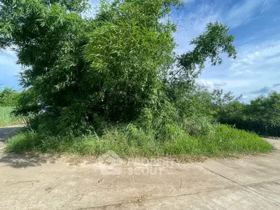 Vacant land plot with lush greenery and clear blue sky, ideal for development opportunities.