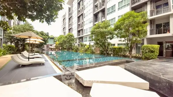 image_rental-30947408