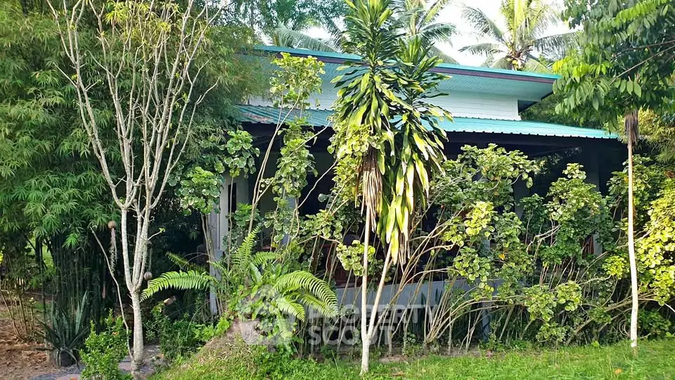 Charming tropical house surrounded by lush greenery and tall trees, offering serene and private living.