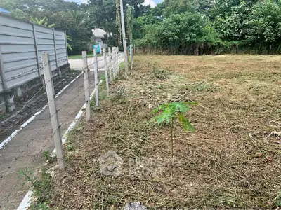 image_rental-31442022