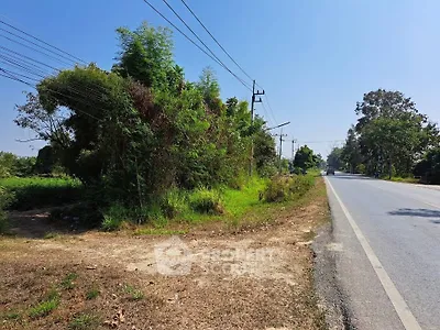 Scenic roadside land plot with lush greenery, ideal for development opportunities.