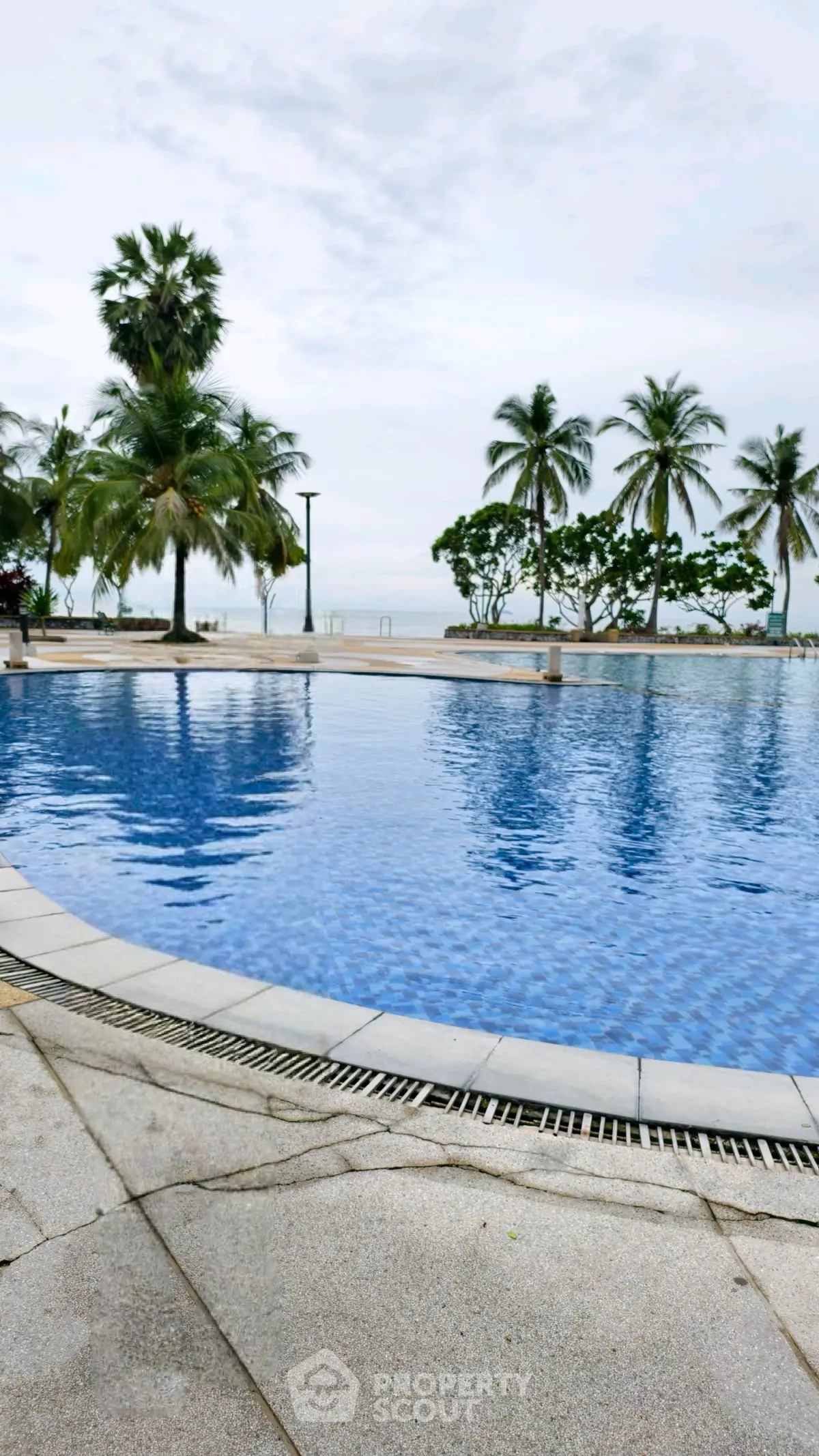 Luxurious beachfront pool with palm trees and ocean view