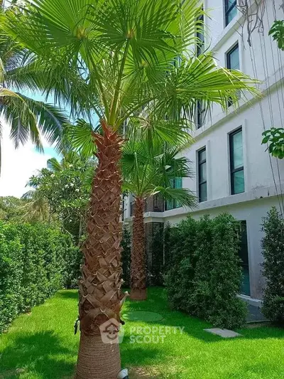 Lush garden view with palm trees beside a modern building exterior.