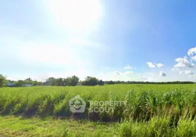 Screenshot 2568-11-15 at 10.11.59.jpg