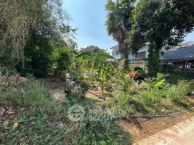 Lush garden view with tropical plants and residential buildings in the background.