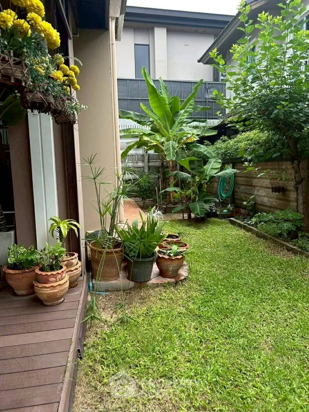 Charming garden view with lush greenery and potted plants in a serene residential backyard.
