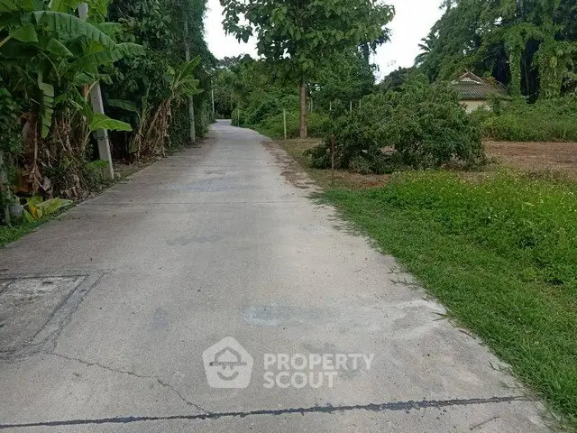 Scenic rural road surrounded by lush greenery and trees, perfect for tranquil living.