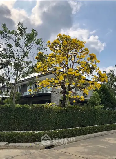 image_rental-28299476