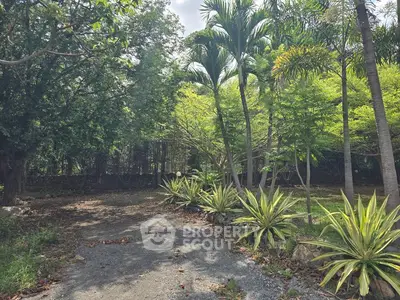 Lush garden area with tropical trees and plants, perfect for serene outdoor living.