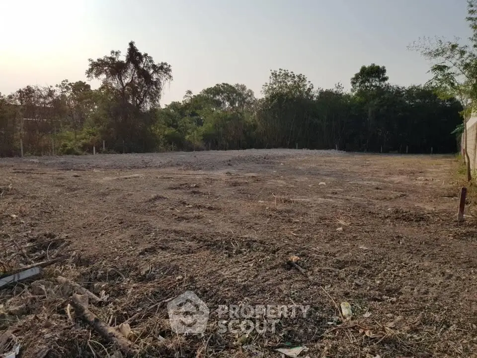 Spacious vacant land surrounded by lush greenery, perfect for development opportunities.