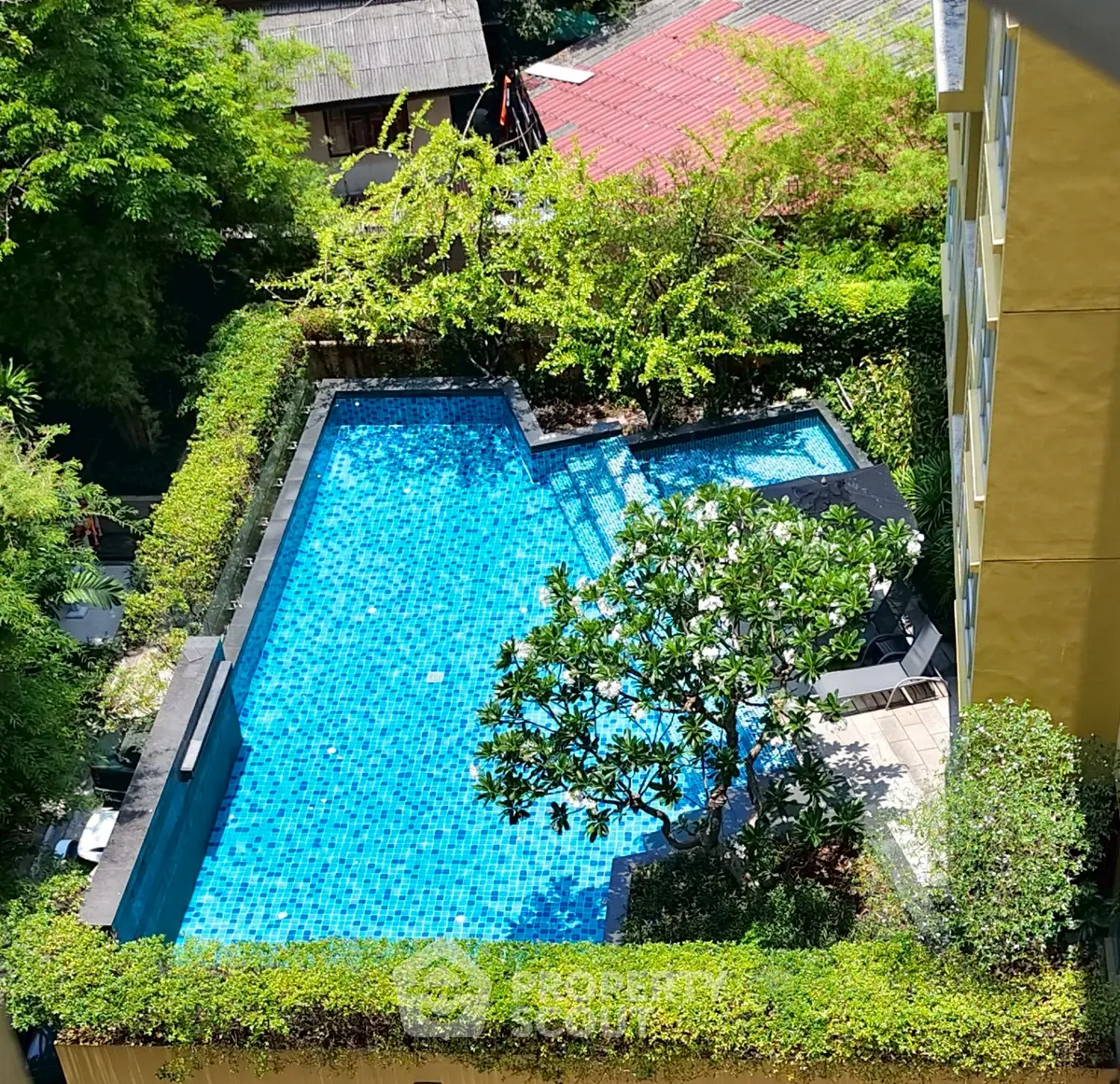 Stunning aerial view of a serene residential swimming pool surrounded by lush greenery, perfect for relaxation.