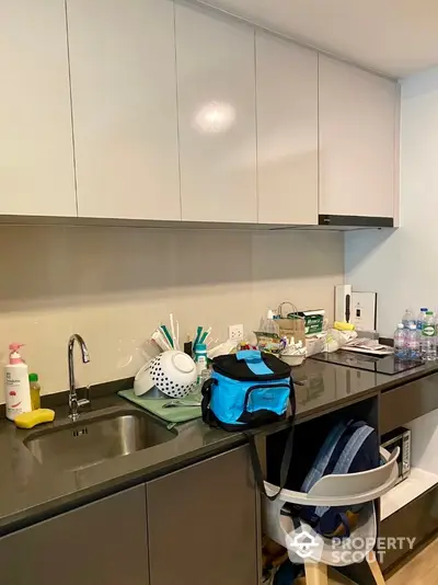 Modern kitchen with sleek cabinetry and countertop, featuring a sink and organized essentials.