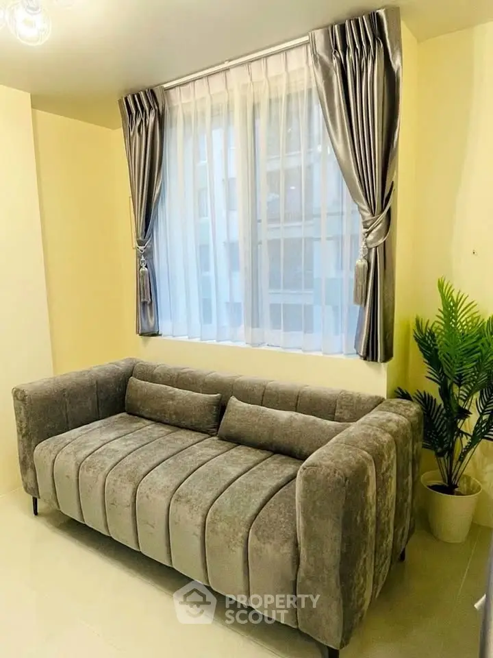 Elegant living room with plush gray sofa and stylish curtains, perfect for modern interiors.