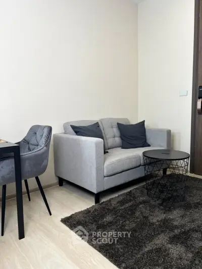 Cozy modern living room with stylish grey sofa and chic decor