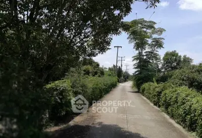 Scenic driveway surrounded by lush greenery and trees, perfect for serene living.