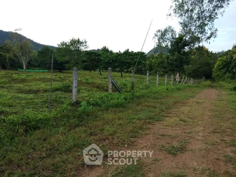 Expansive rural land with lush greenery and mountain views, perfect for development or agriculture.