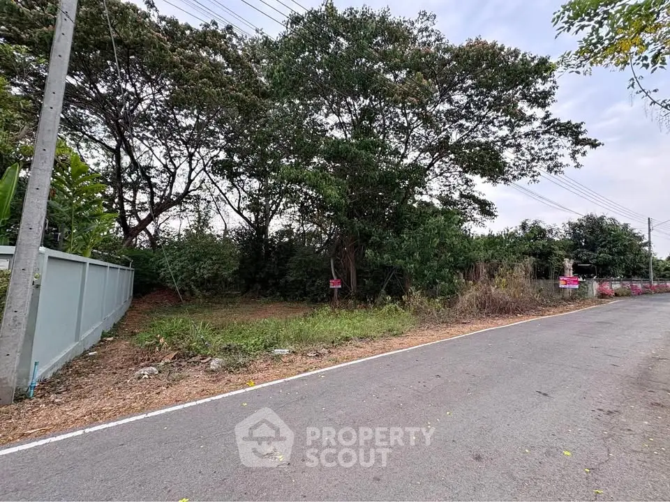 Vacant land plot with lush trees and roadside access, ideal for development opportunities.