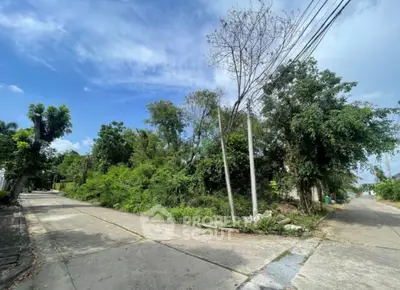 image_rental-28010381