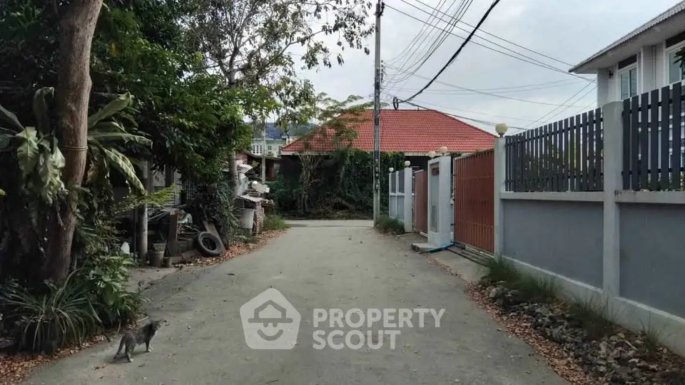 Charming residential street with lush greenery and cozy homes, perfect for tranquil living.