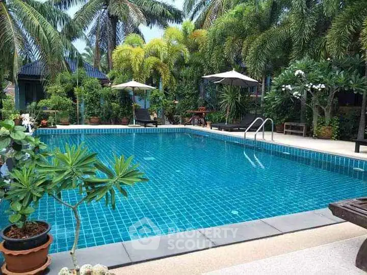Luxurious tropical pool surrounded by lush greenery and palm trees, perfect for relaxation.