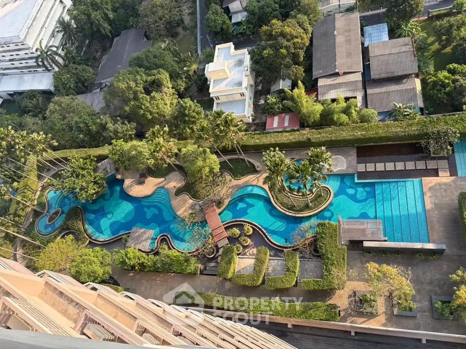 Stunning aerial view of a luxurious residential pool with lush landscaping and modern design.