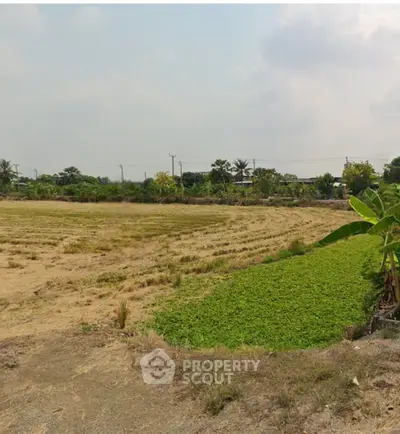 image_rental-28013668