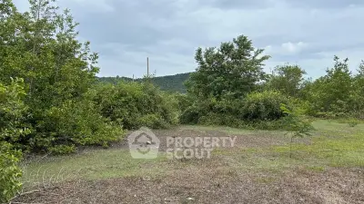 Scenic vacant land with lush greenery and distant hills, perfect for development or investment.