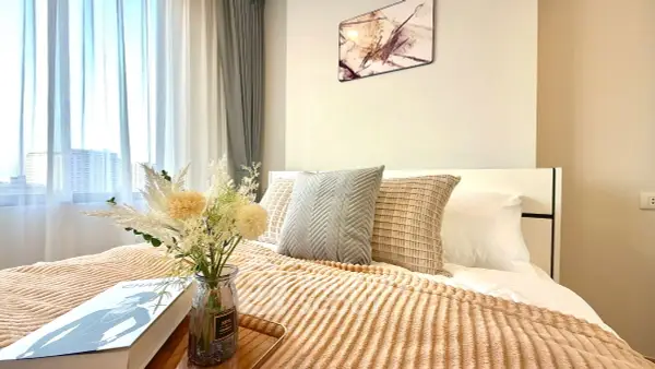 image_rental-30730510