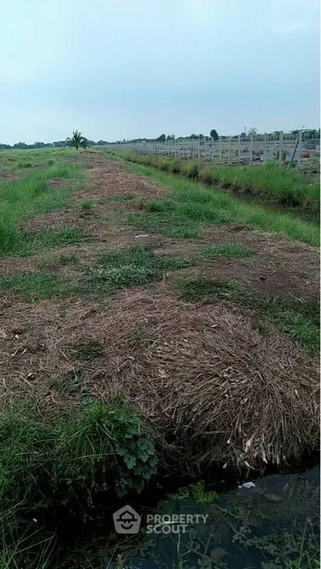 Expansive undeveloped land parcel with lush greenery, ready for construction, ideal for a bespoke residential or commercial project.