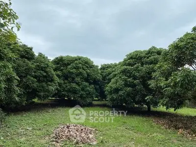 Expansive green landscape with lush trees, perfect for serene living or development.