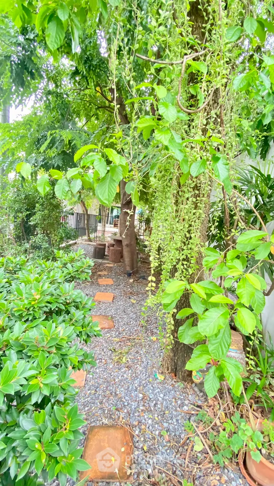 Lush garden with stone pathway and vibrant greenery, perfect for relaxation and outdoor enjoyment.