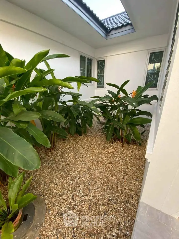 Charming garden corner with lush greenery and skylight in modern home