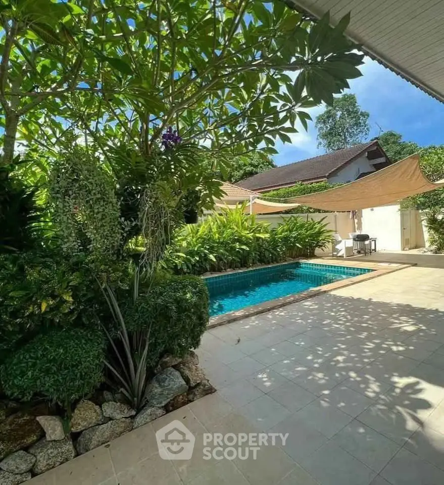 Charming backyard with lush greenery and a private pool, perfect for relaxation and outdoor gatherings.