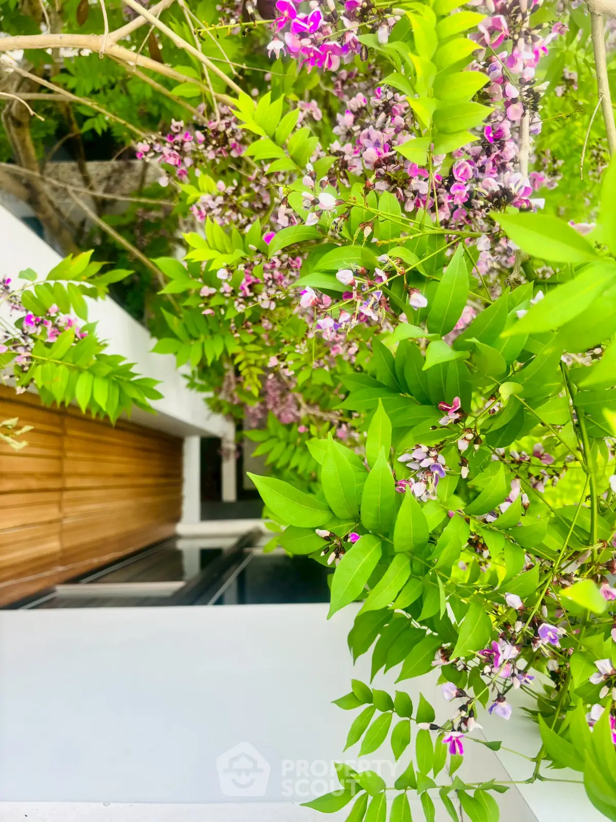 Stunning garden view with vibrant flowers and modern architecture