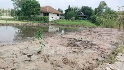 Expansive land plot with potential for development, featuring lush greenery and serene surroundings.
