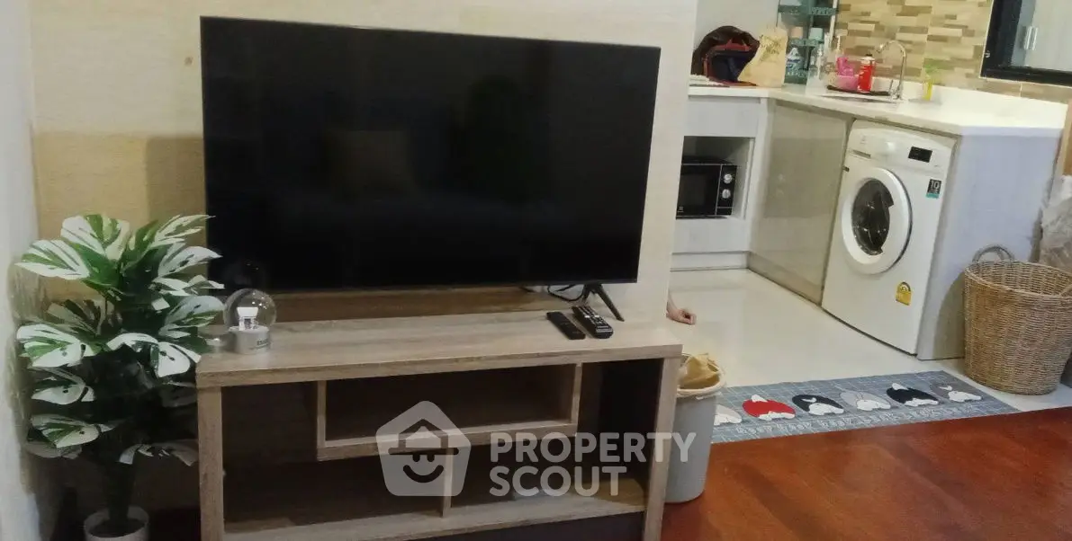 Modern living room with TV, washing machine, and stylish decor