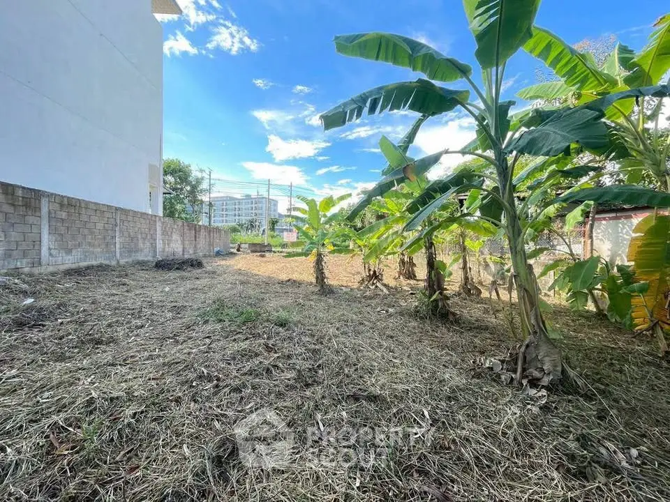 Spacious vacant land with banana trees, ideal for development in a serene neighborhood.