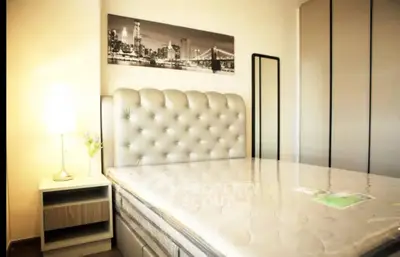 Luxurious bedroom with elegant tufted headboard and modern decor