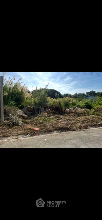 image_rental-30978796