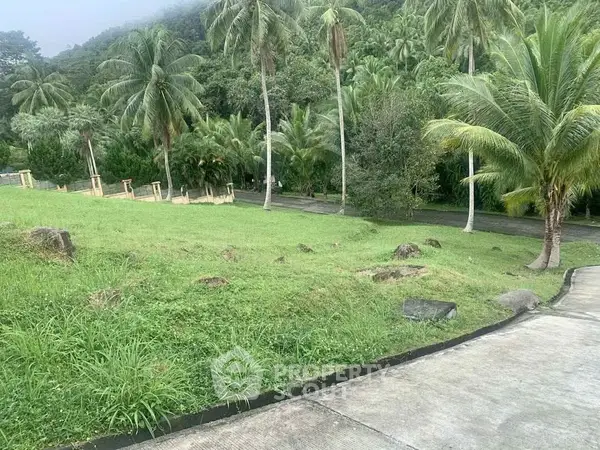 image_rental-29643266