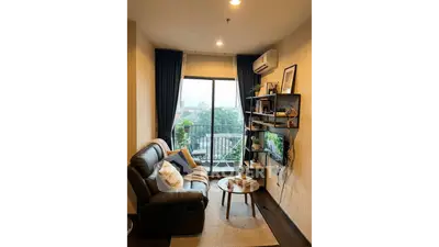 image_rental-30622720