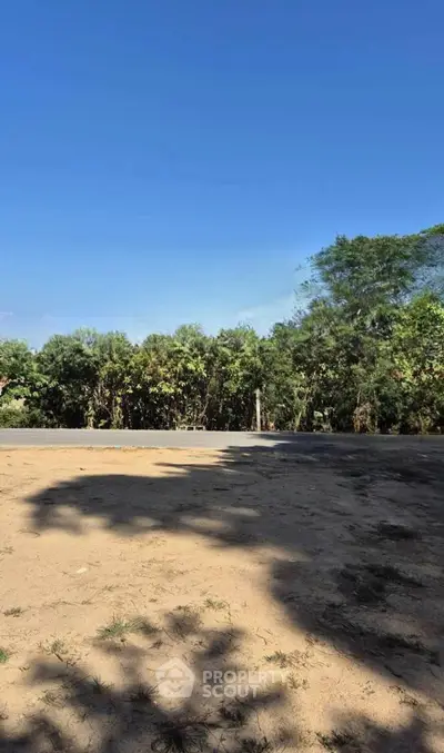 image_rental-30580259