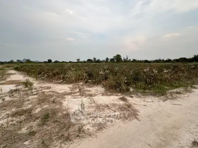 Expansive land plot with lush greenery, perfect for development or agriculture, offering serene natural surroundings.