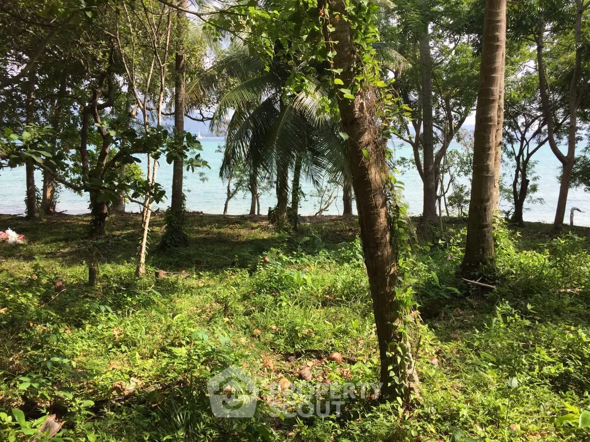Scenic beachfront land with lush greenery and ocean view, perfect for a tropical real estate investment.