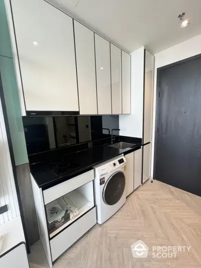 Modern kitchen with sleek cabinets and built-in washing machine