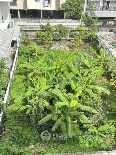 image_rental-29074261