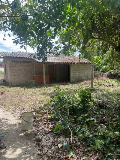 Charming rustic property with lush greenery, perfect for renovation and investment opportunities.
