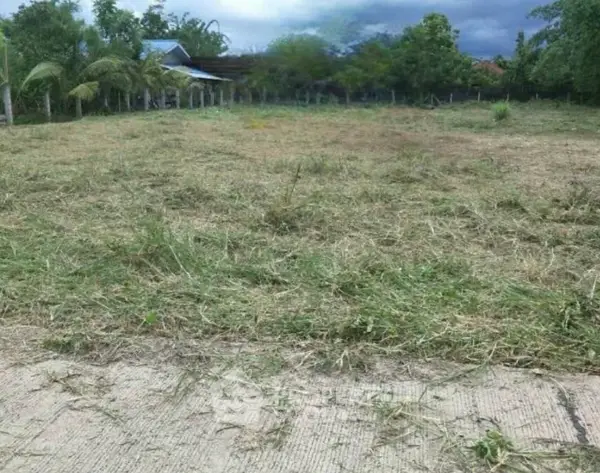 image_rental-28580972