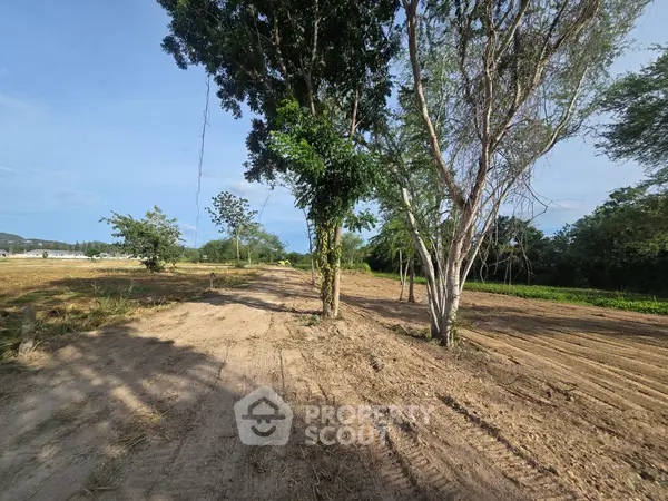 image_rental-21319021