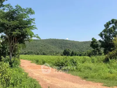 Scenic view of lush green landscape with dirt path and distant hills under clear blue sky.
